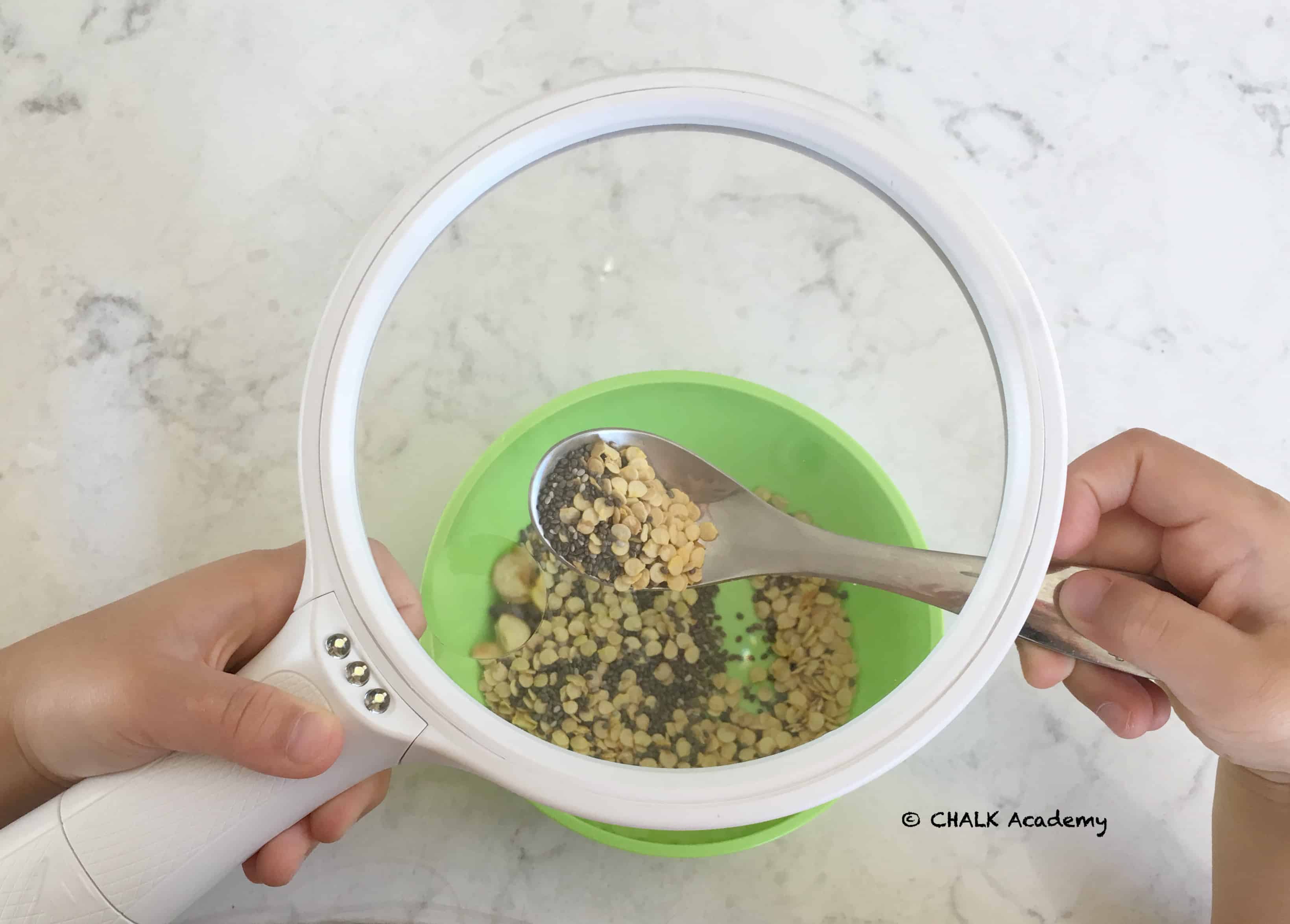 Pepper seeds mixed with chia seeds under magnifying glass