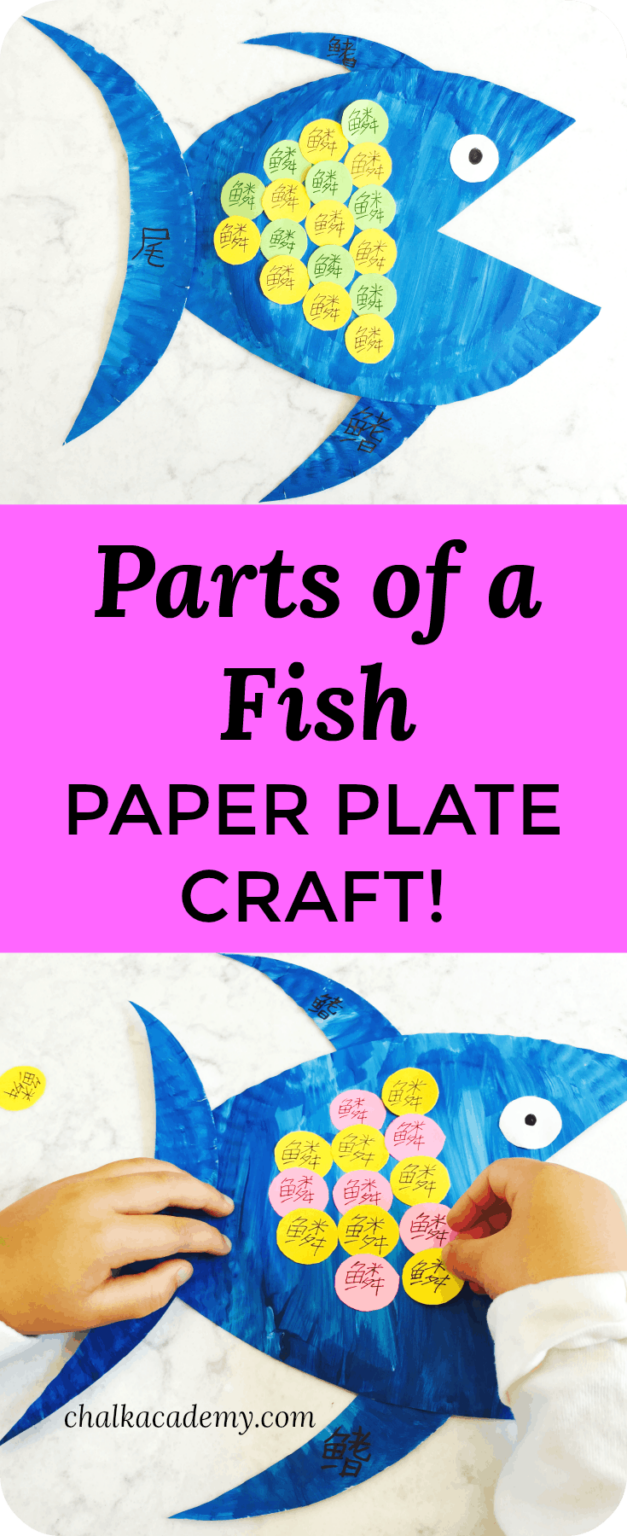 Educational Chinese Fish Anatomy Paper Plate Craft