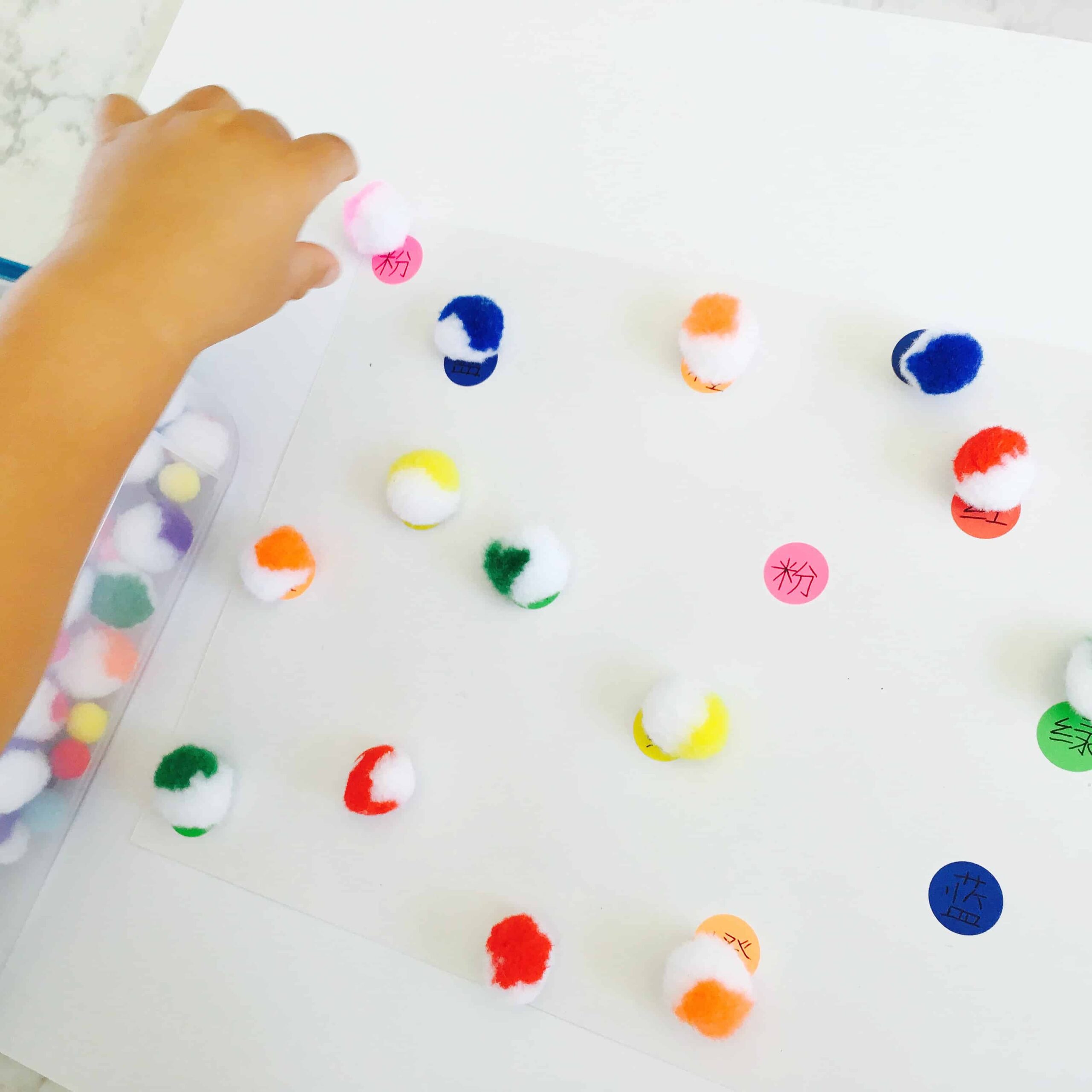 Pom Pom Color Matching Activity for Kids