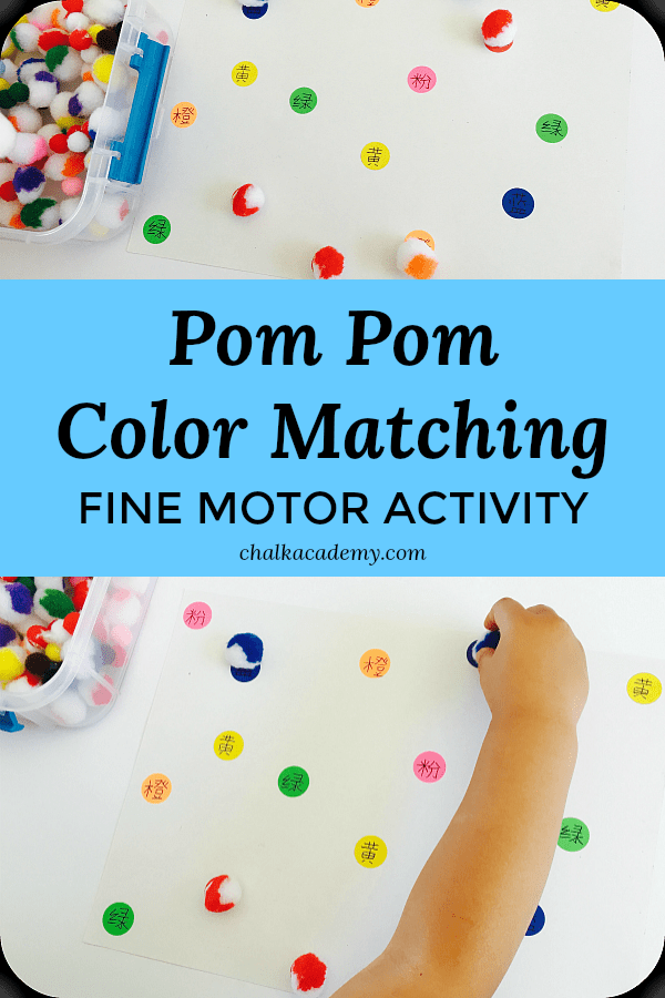 Pom Pom Color Matching Activity