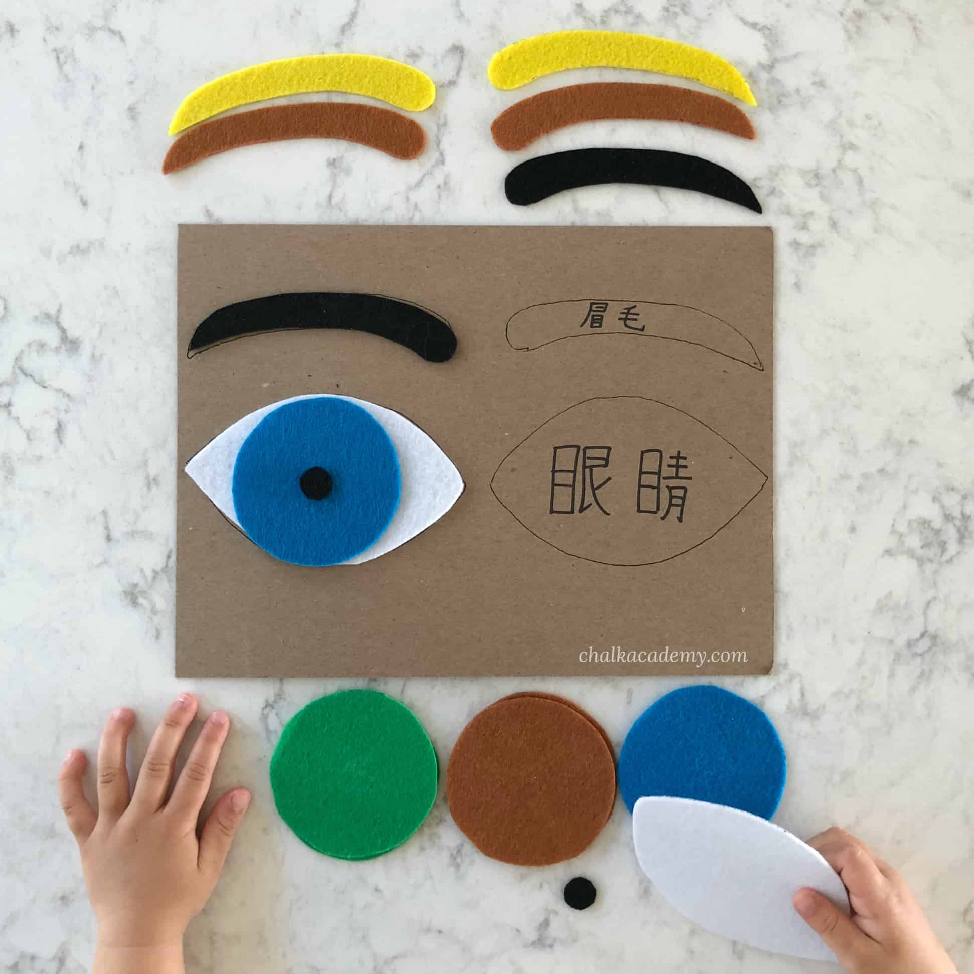 Parts of the Human Eye DIY Puzzle – Human Anatomy Activity for Kids