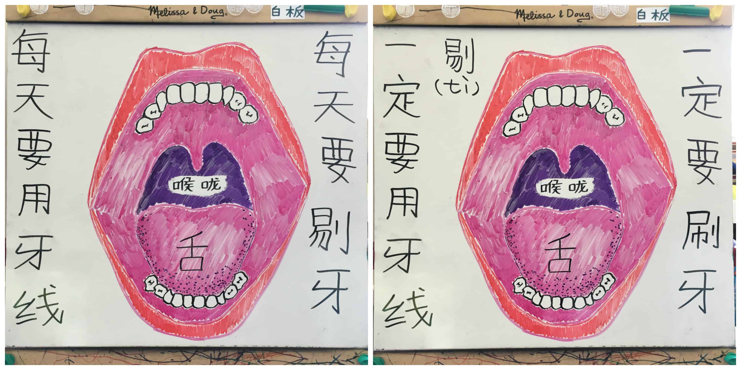 Mouth anatomy drawing on easel labeled in Chinese
