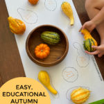 Pumpkins and gourds - silhouette matching DIY puzzle