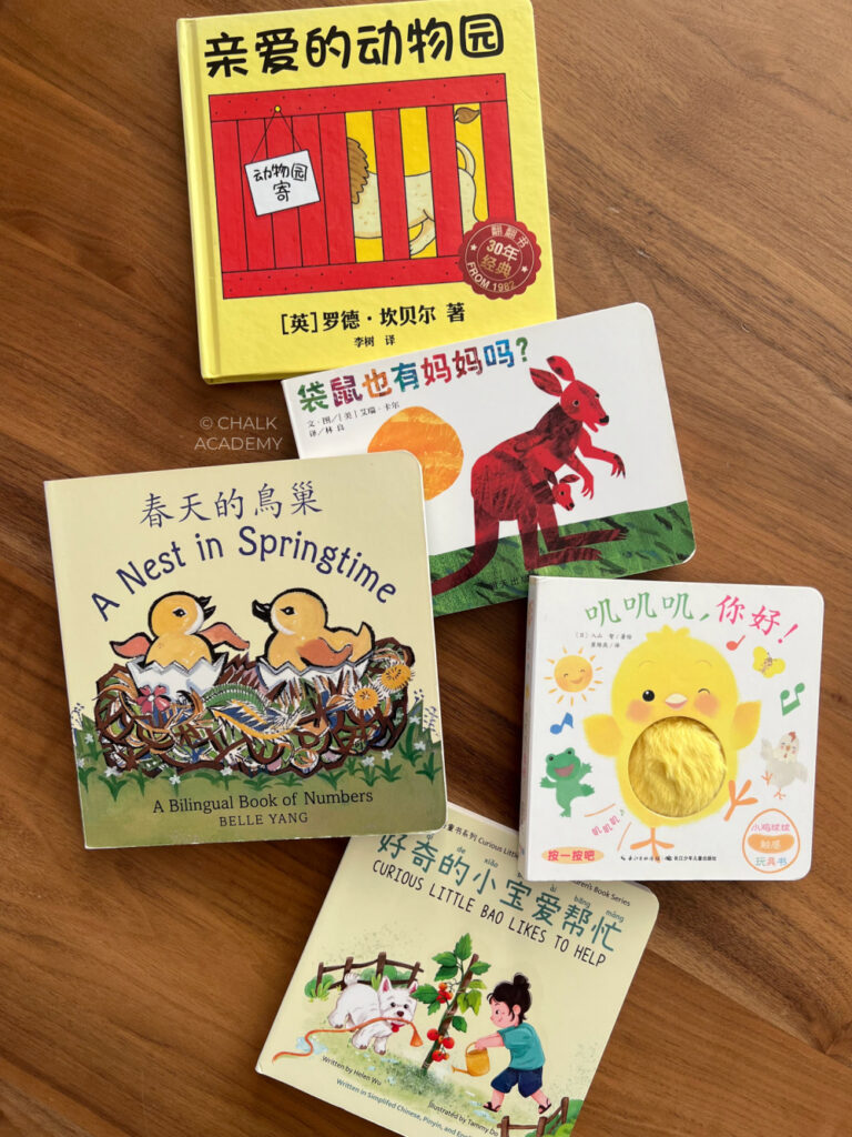 Best Chinese baby books - Montessori realistic books for babies and toddlers