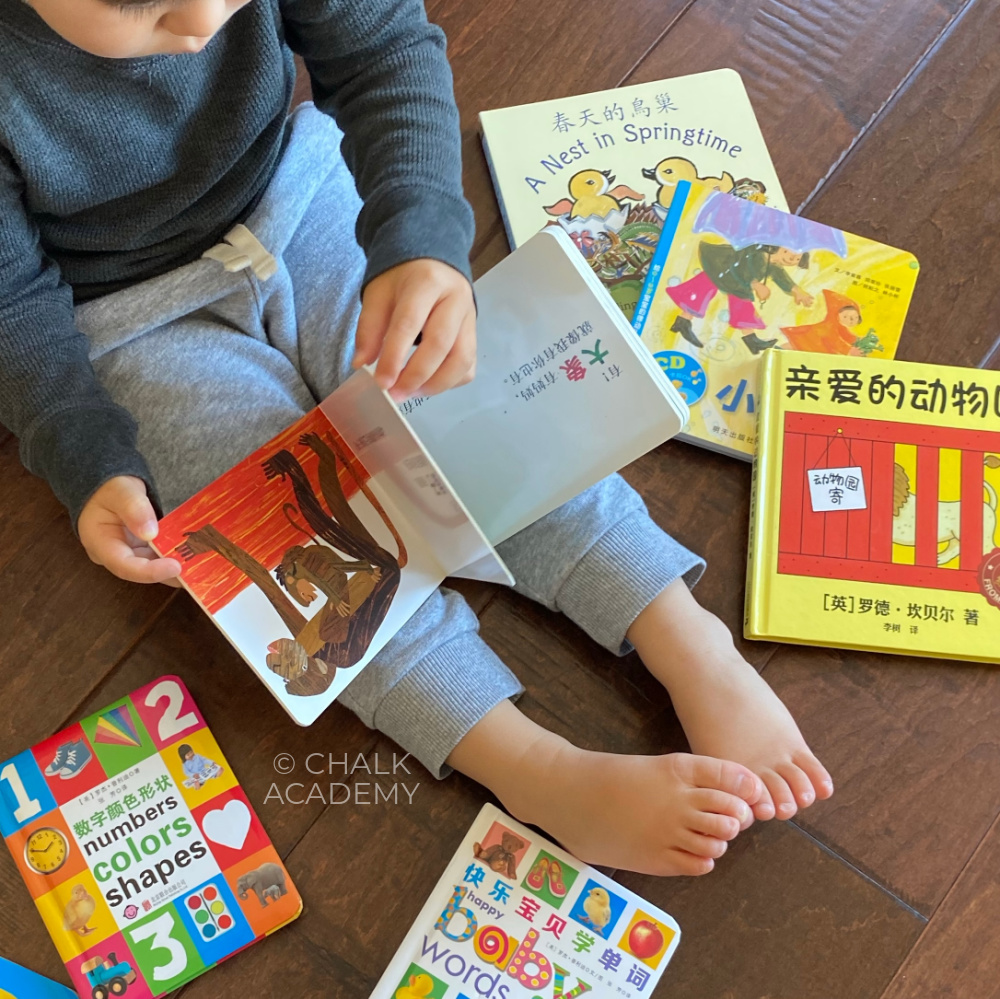 Toddler reading cute Chinese baby board books