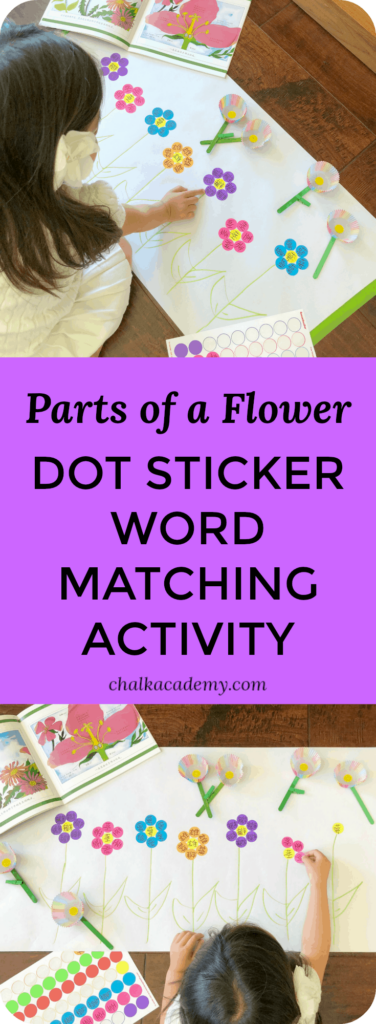 Parts of a Flower Dot Sticker word matching activity
