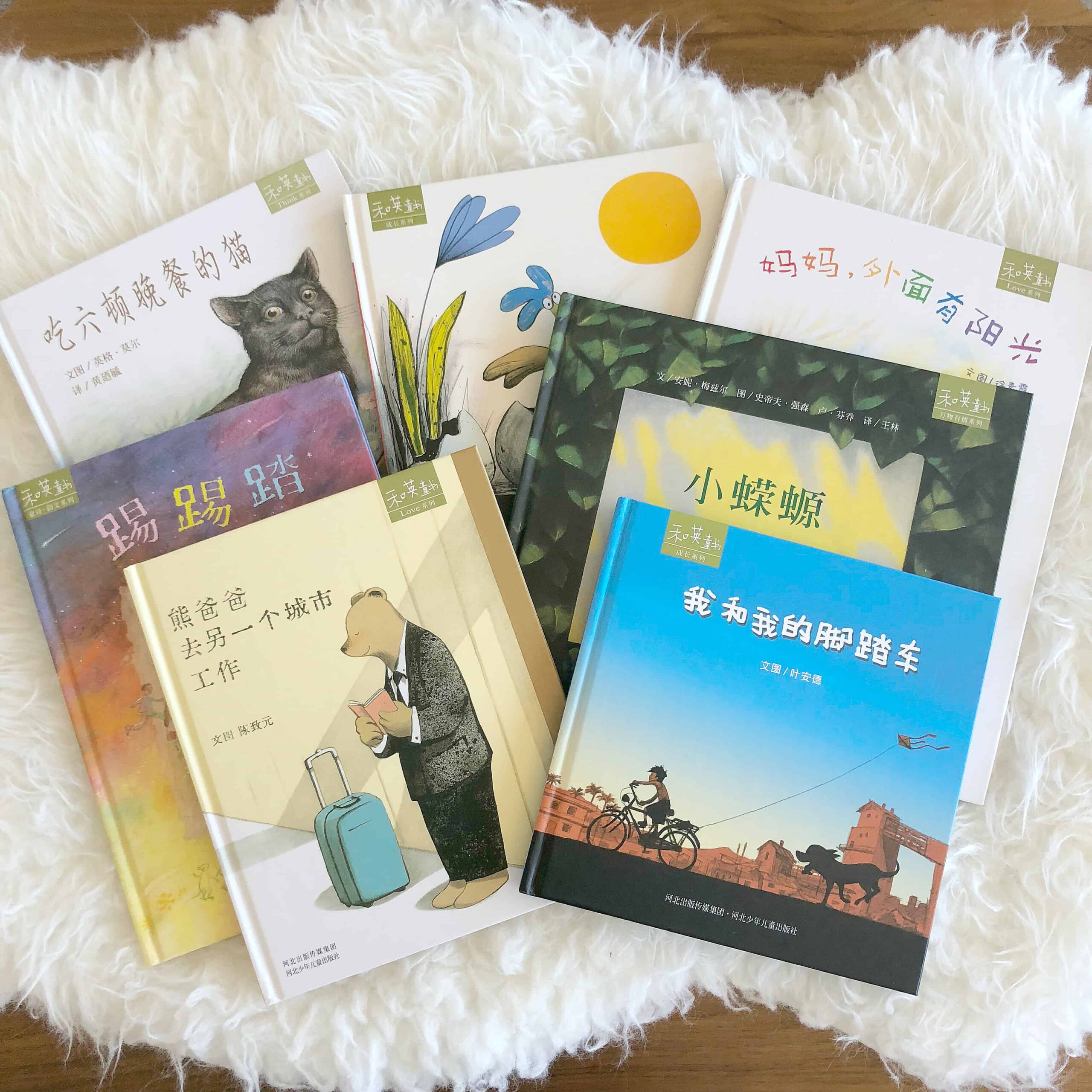 Chinese Picture Books with Audio CDs by Heryin Publishing (VIDEO)