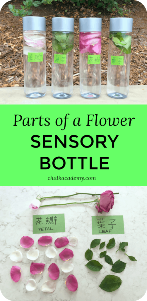 Parts of a flower sensory bottles