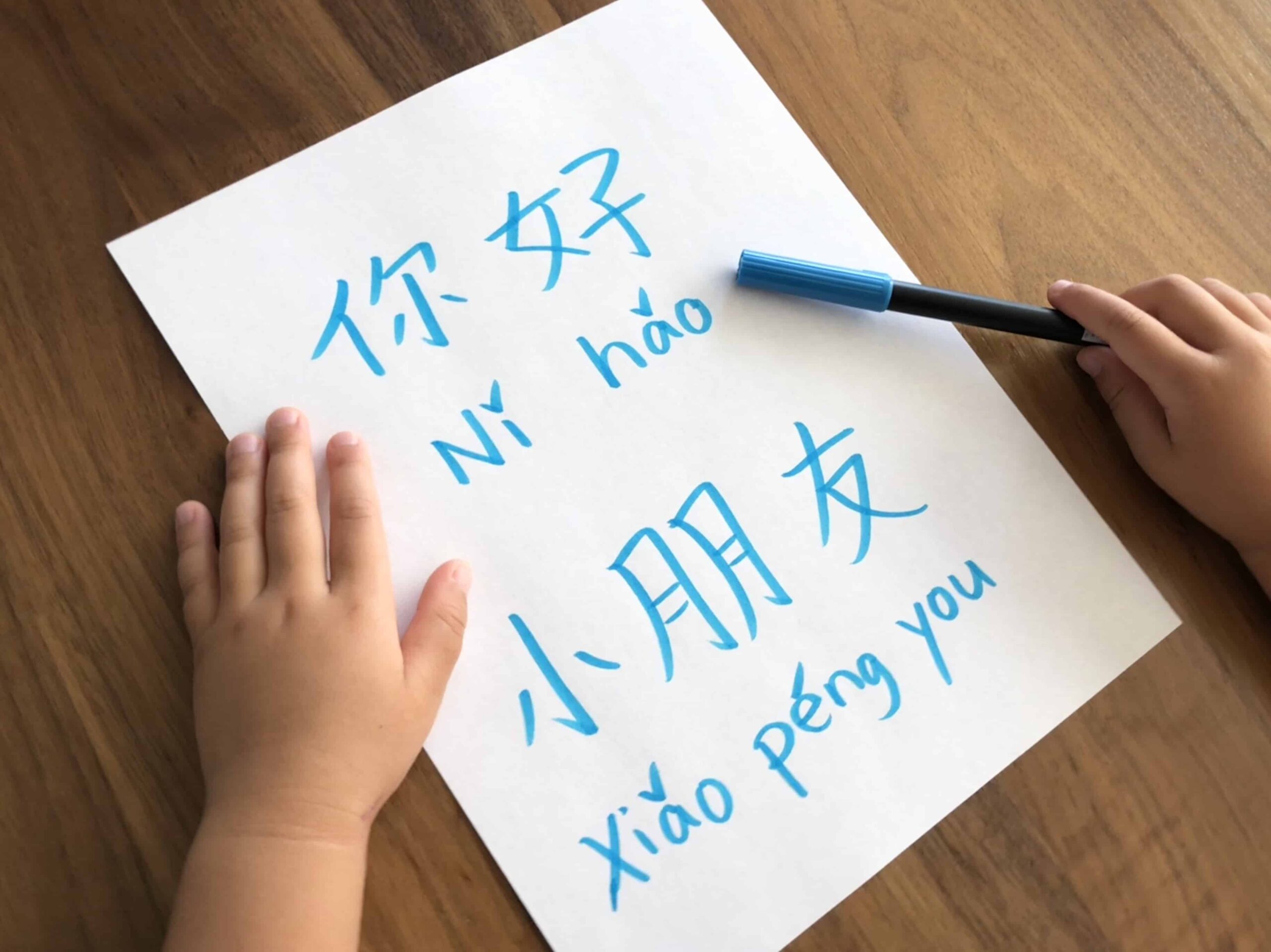When Should My Child Learn Hanyu Pinyin?