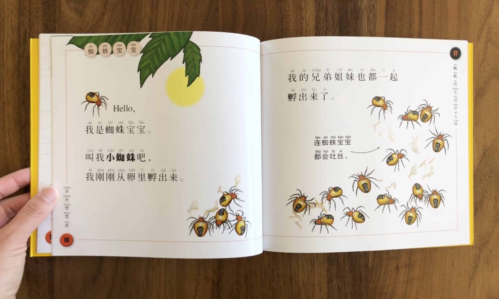 National Geographic Spider 蜘蛛 Chinese book