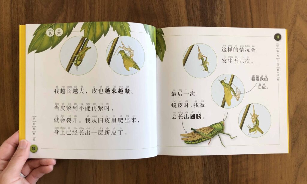 National Geographic Grasshopper 蚱蜢 Chinese book