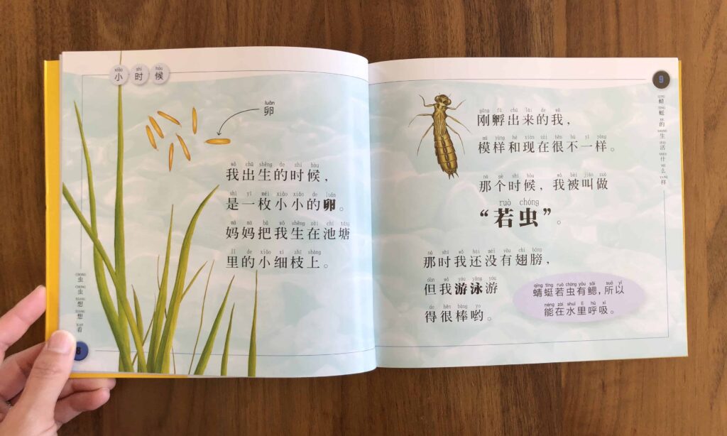 National Geographic Dragonfly 蜻蜓 Kids Chinese books