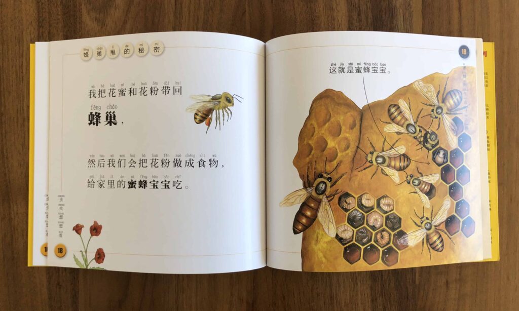 National Geographic Bee 蜜蜂 Kids Chinese books
