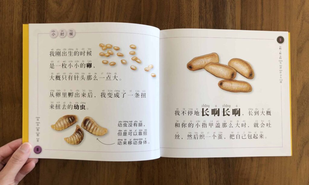 National Geographic Ant 蚂蚁 Kids Chinese books