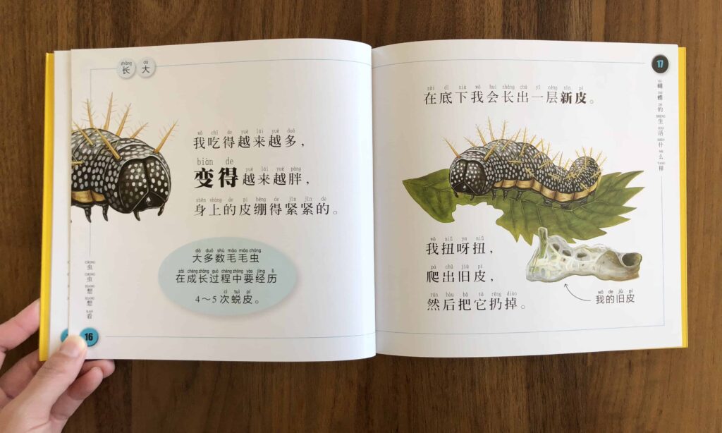 National Geographic Butterfly 蝴蝶 Chinese books