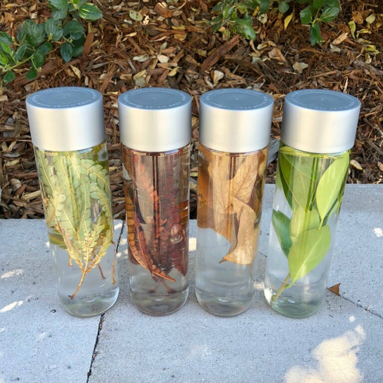 Leaf Sorting Sensory Bottles – Nature Discovery Activity for Kids!