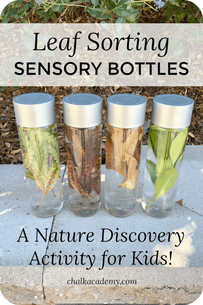 Leaf Sorting Sensory Bottles - Nature Discovery Activity for Kids!