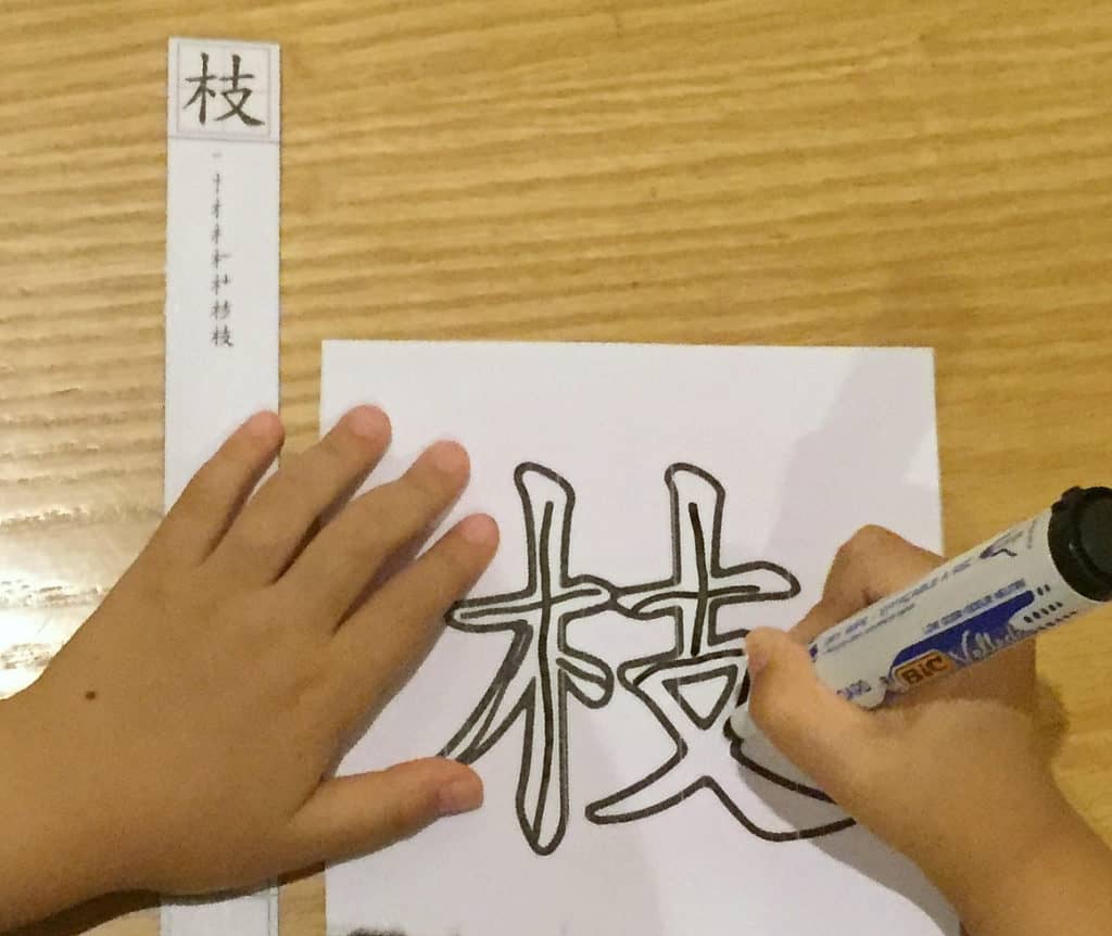 Tracing Chinese 木 radical words according to stroke order