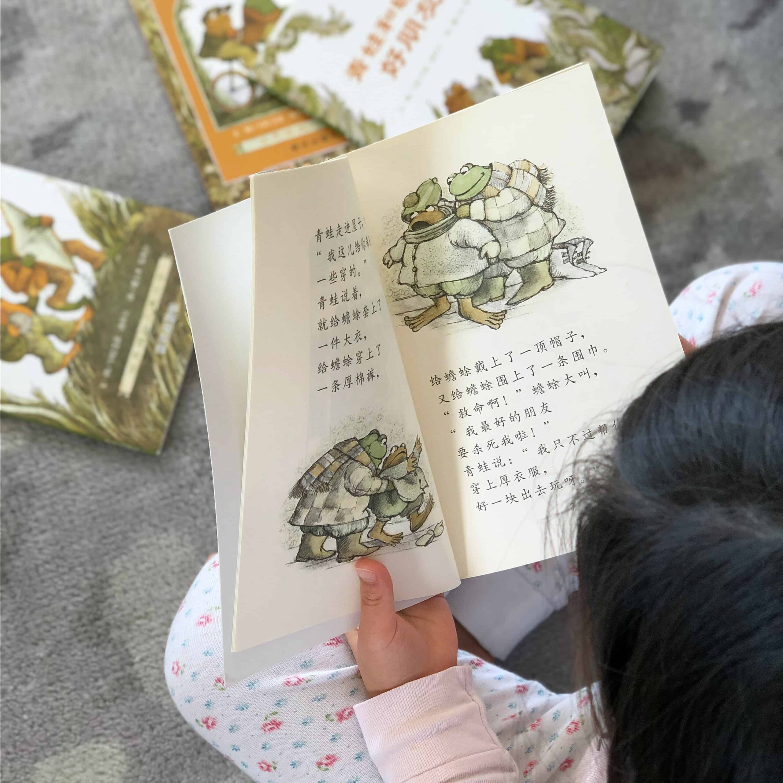 Frog and Toad Books Chinese Bridge Books Review 青蛙和蟾蜍