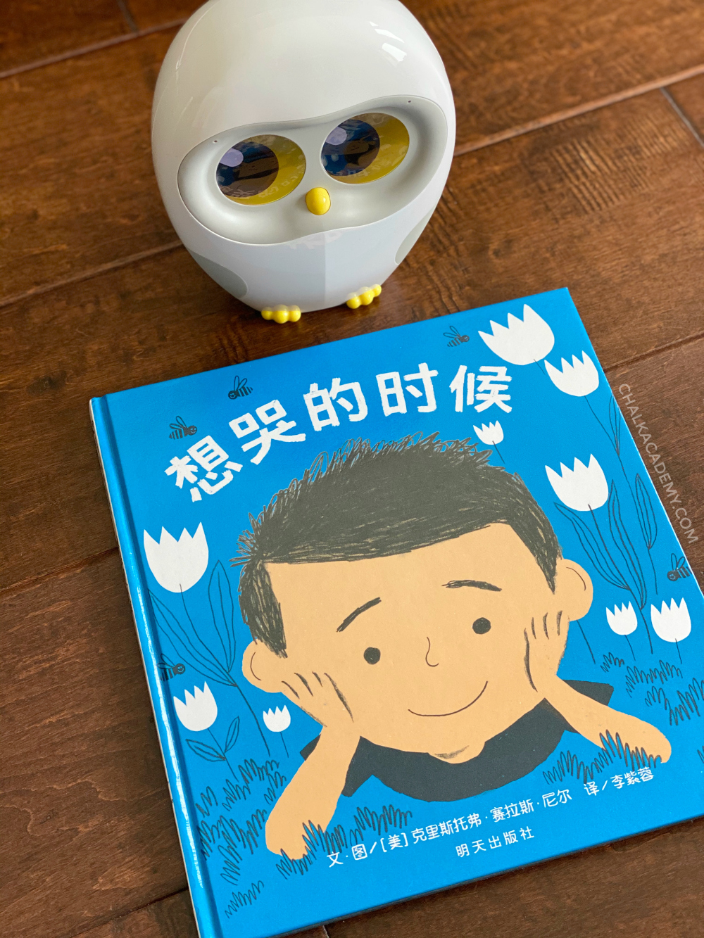 《想哭的时候》 Everyone – Chinese and English Book About Emotions