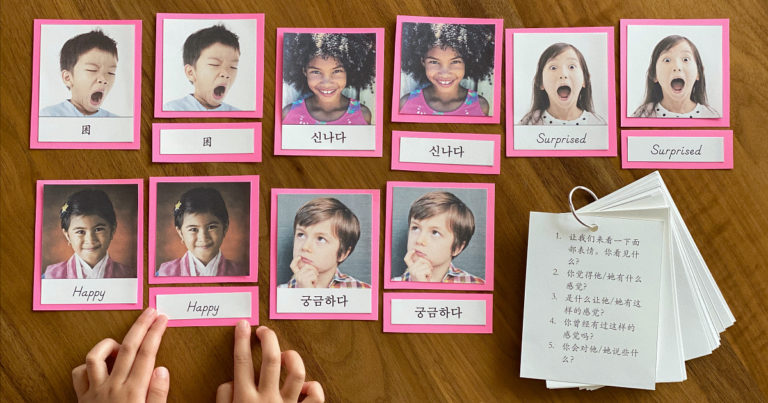 Montessori Emotions 3-Part Cards in English, Chinese, and Korean