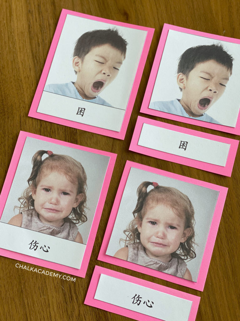 Chinese Montessori-3 part cards emotions