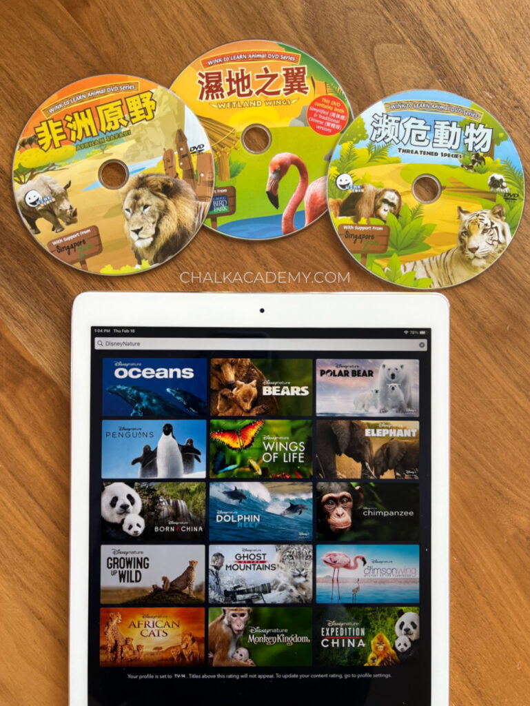 20 Amazing Chinese Animal Videos and Documentaries for Kids