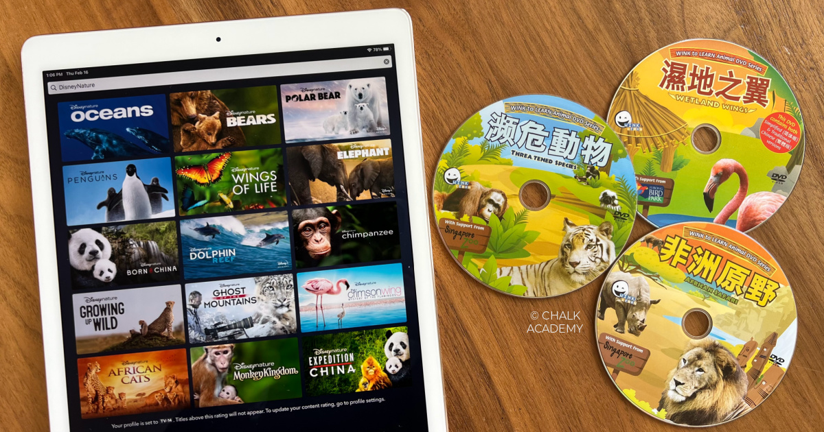 20 Amazing Chinese Animal Shows and Documentaries for Kids