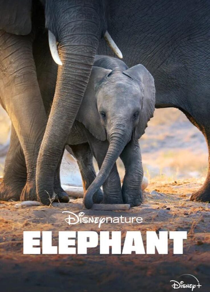 Disney Nature Elephant Documentary for Kids