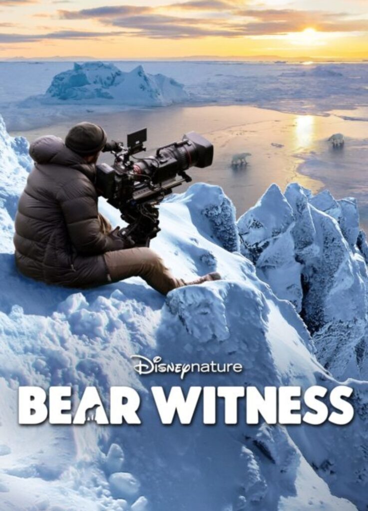 Disney Plus DisneyNature Bear Witness Video for Kids