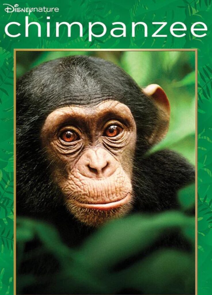 Disney Plus DisneyNature Chimpanzee Animal Videos for Kids