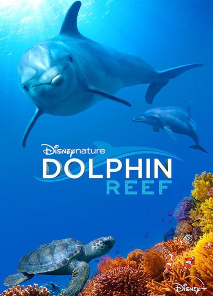 DisneyNature Dolphin Reef Ocean Documentary for Kids