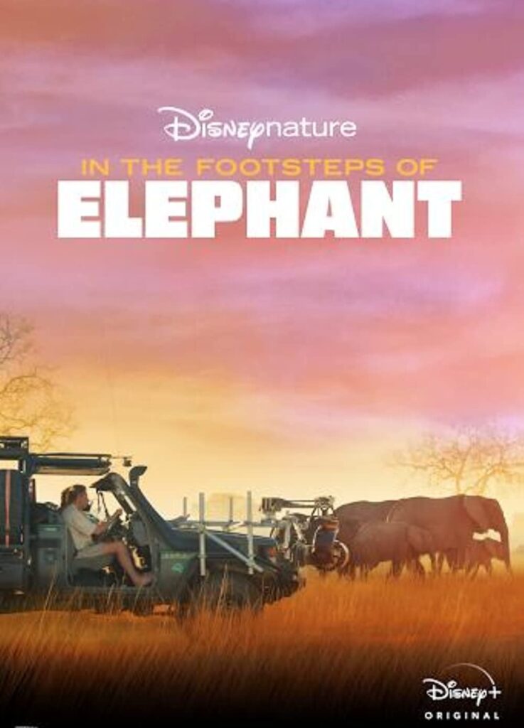 DisneyNature In the Footsteps of the Elephant Animal Documentary for Kids