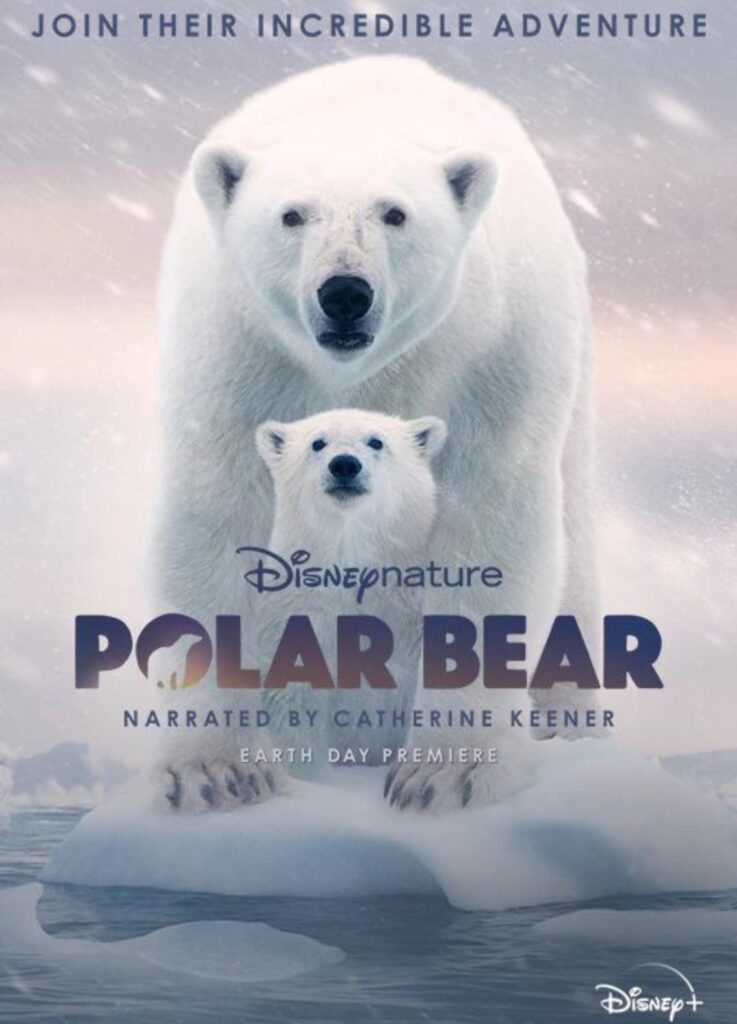 DisneyNature Polar Bear Animal Video in Chinese for Kids