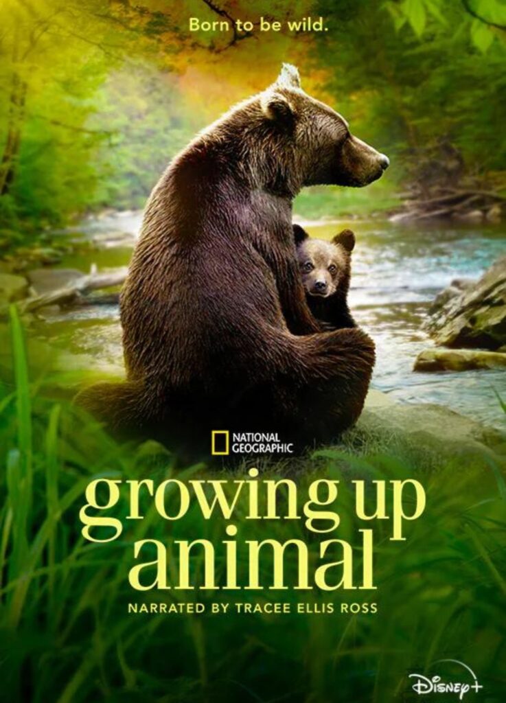 Growing up Animal Disney Plus National Geographic video in Chinese
