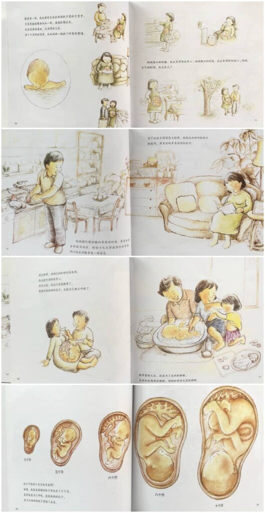我的弟弟出生了 My little brother is born - Chinese children's book about how babies are born, pregnancy, new sibling