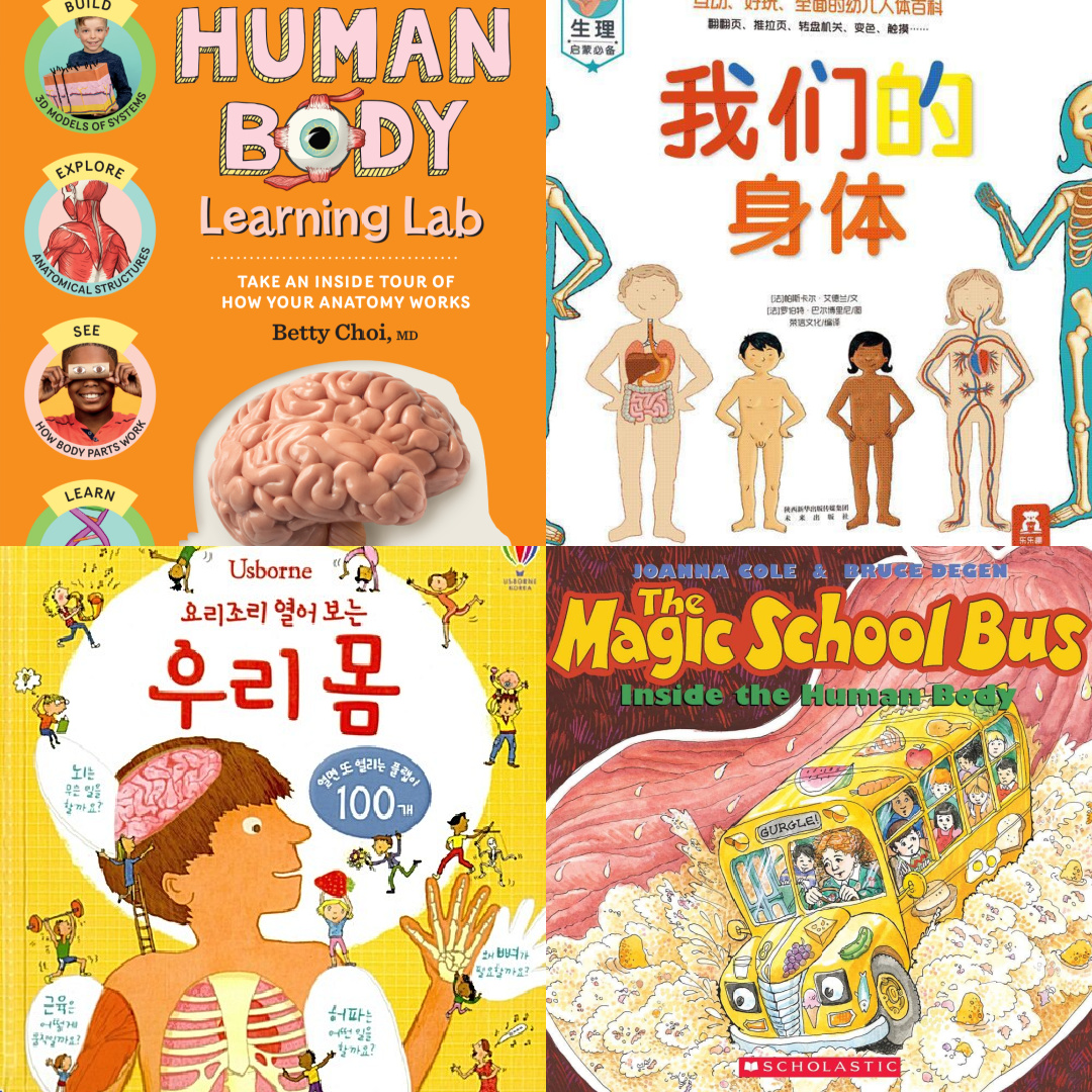 Human body books for children in English, Chinese, and Korean
