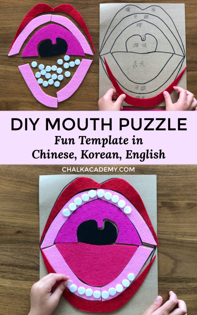 DIY felt and cardboard mouth puzzle - fun printable template in Chinese, English, and Korean