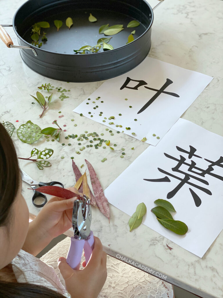 10 Fun and Free Chinese Teaching Activities with Leaves! (Printable)