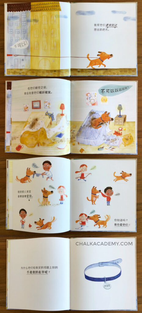 不可以! (Bù kěyǐ / No!) is cute book about a dog who thinks that's his name because he hears it all the time! 