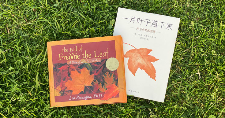 The Fall of Freddie the Leaf 一片叶子落下来 Book Review & Activities