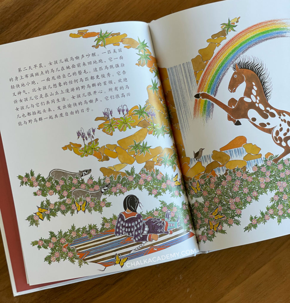 The Girl Who Loved Wild Horses 野马之歌 / 野馬之歌 Chinese and English book about Native Americans Plains Tribe