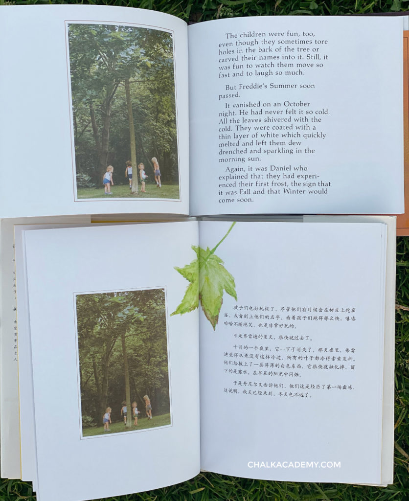 The Fall of Freddie the Leaf 一片叶子落下来 Book Review in English and Chinese
