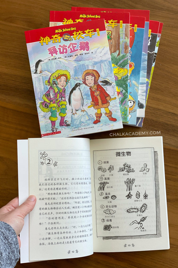 Chinese Magic School Bus Chapter Books 阅读版