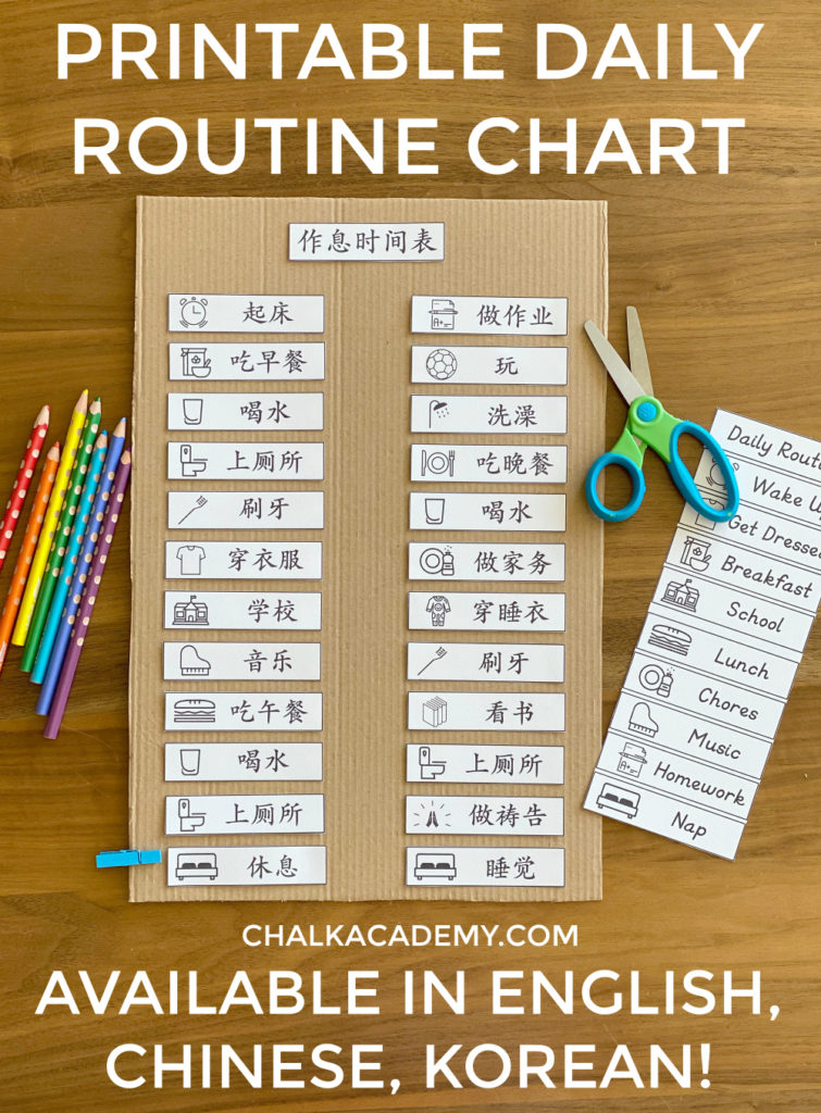 daily schedule for kids printable in English, Korean, and Chinese