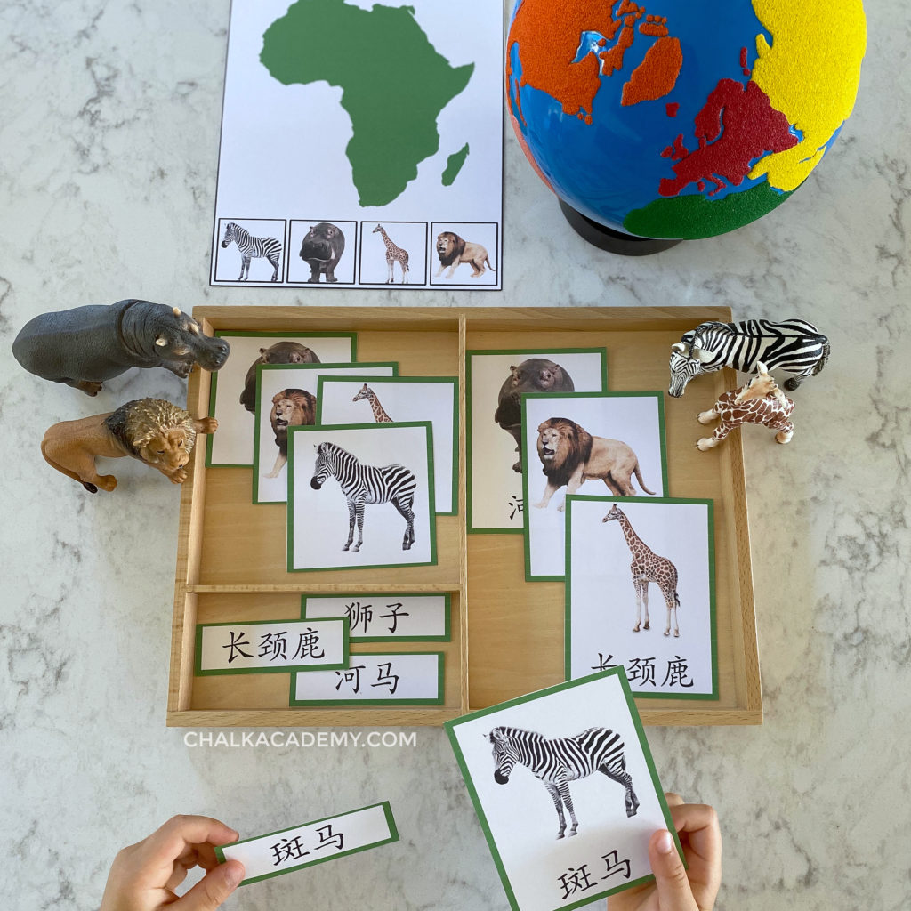 Montessori Animals and Continents 3-Part Cards (English, Chinese, Korean)