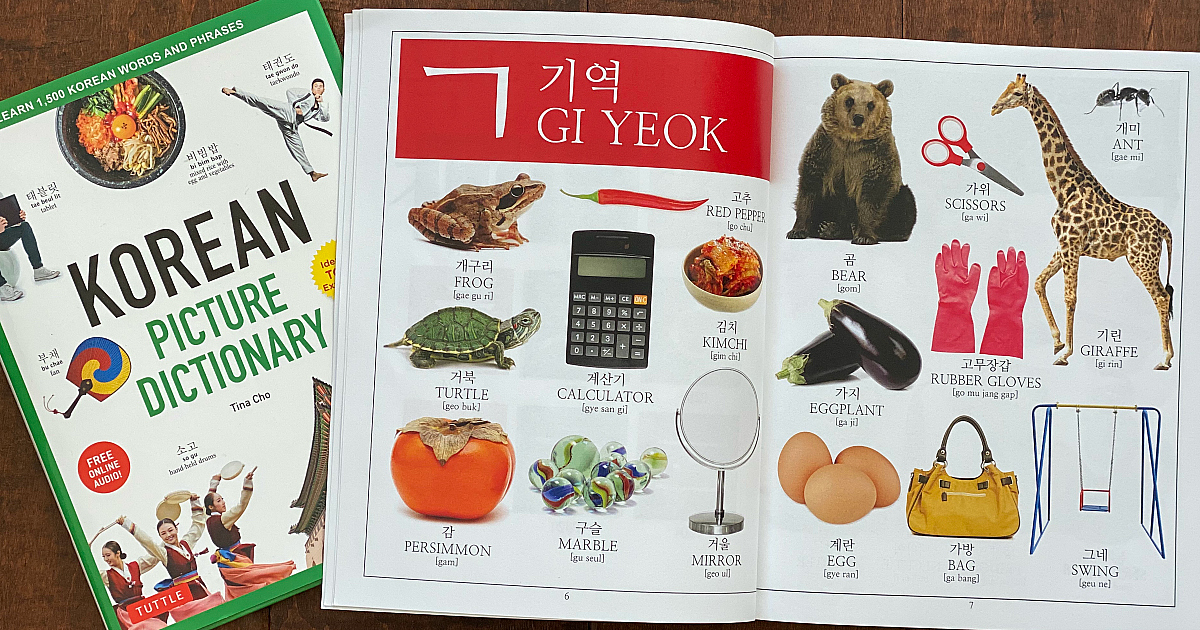 Best Korean Picture Dictionaries for Kids and Parents