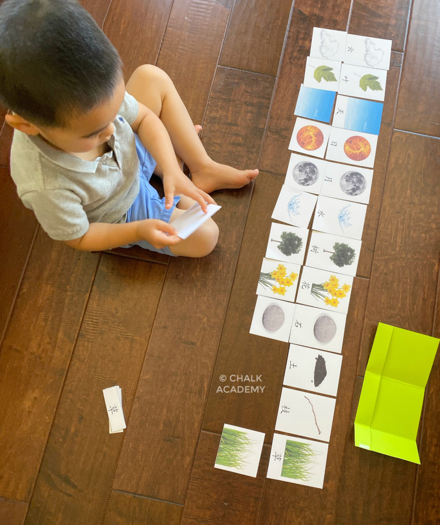 Printable Nature Montessori 3-Part Cards (Chinese, Korean, English)