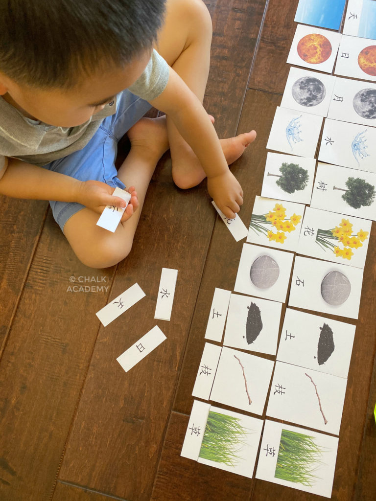 Printable Nature Montessori 3-Part Cards (Chinese, Korean, English)