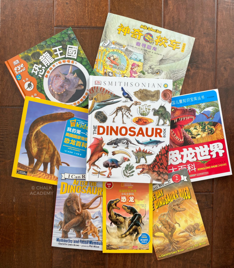 English and Chinese books for kids about dinosaurs